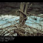 Beautumn : White Coffee [CD]