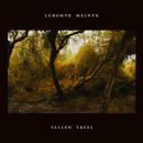 Lubomyr Melnyk : Fallen Trees [CD]