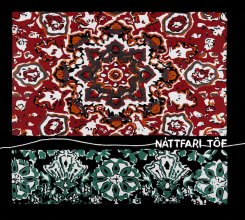 Náttfari : Töf [CD]