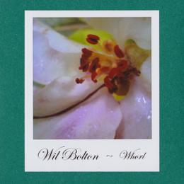 Wil Bolton : Whorl [CD-R]