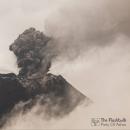 Flashbulb : Piety Of Ashes [CD]