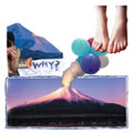 Why? : Elephant Eyelash [CD]