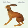 Vashti Bunyan : Lookaftering [CD]