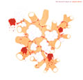 Saxon Shore : The Exquisite Death Of Saxon Shore [CD]