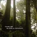 I'm Not A Gun : We Think As Instruments [CD]