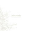 Bitcrush : In Distance [CD]