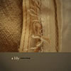 A Lily : Wake : Sleep [CD]