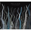 Pelican : City Of Echoes [CD]